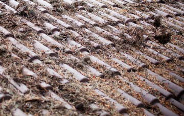 Beadnell roof cleaning companies